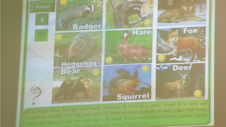 Интерактивная игра «Wild animals» / «Дикие животные»/ в 7А классе